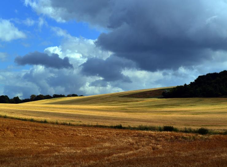 Oxfordshire Landscape,Fields near Ewelme