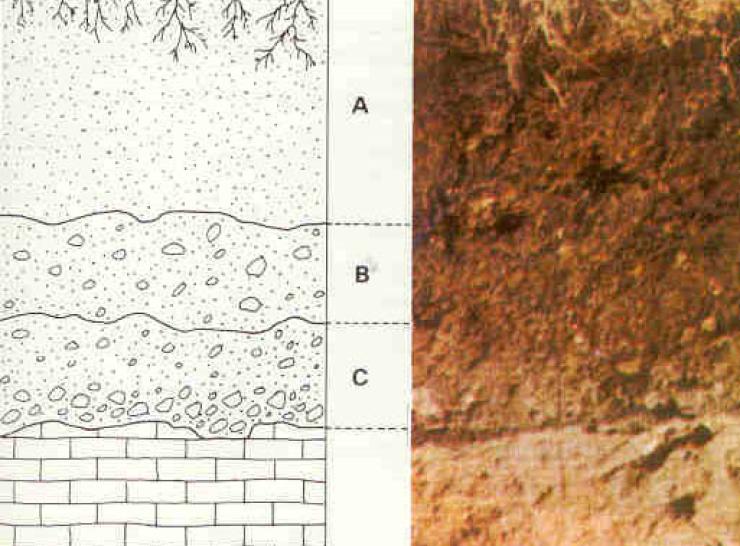 Soil structure diagram